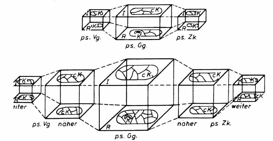 baukasten.jpg baukasten.jpg